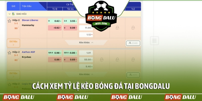 Cách xem tỷ lệ kèo bóng đá tại Bongdalu